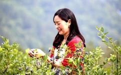 黄网站网址能进的2015 请给几个